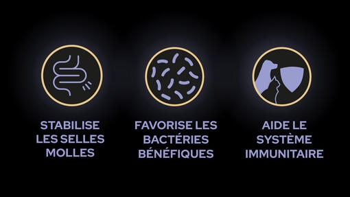 Bonne nouvelle ! FortiFlora® est là pour aider