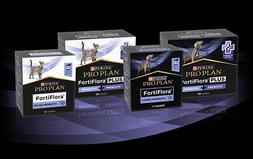 Probiotiques et prébiotiques pour chiens et chats