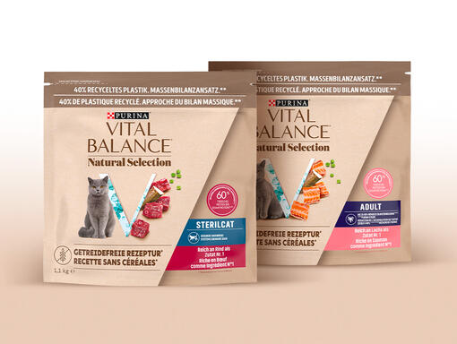 Alimentation sèche sans céréales