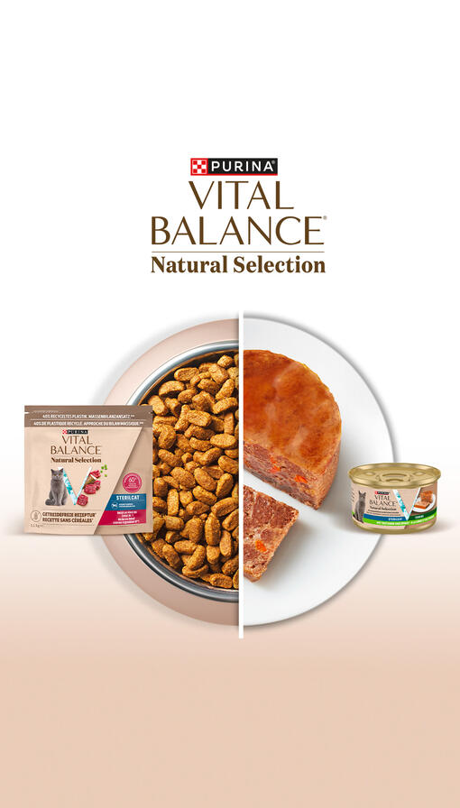 VITAL BALANCE Mixed Feeding