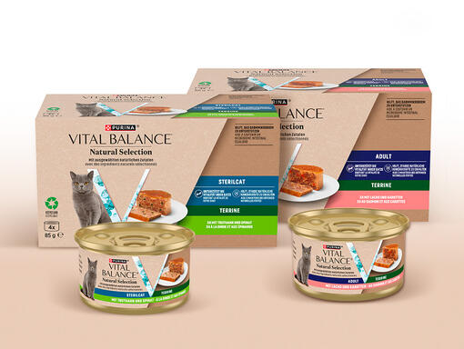 Délicieuses terrines