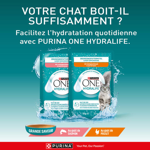 PURINA® ONE® HYDRALIFE™