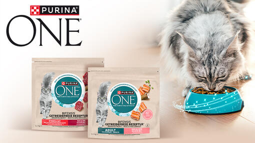 Purina One