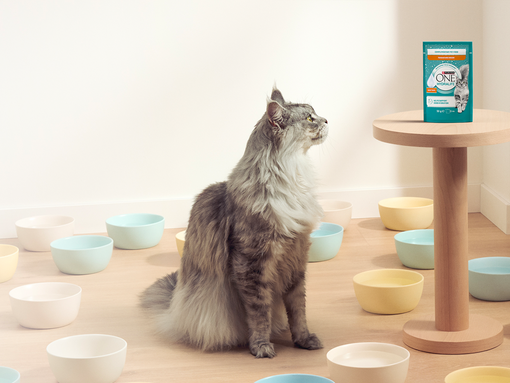 Machen Sie die Flüssigkeitsaufnahme Ihrer Katze ganz einfach mit PURINA ONE® HYDRALIFE™