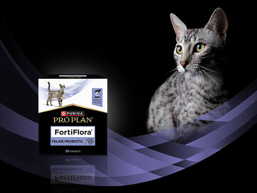 Purina Pro Plan FortiFlora