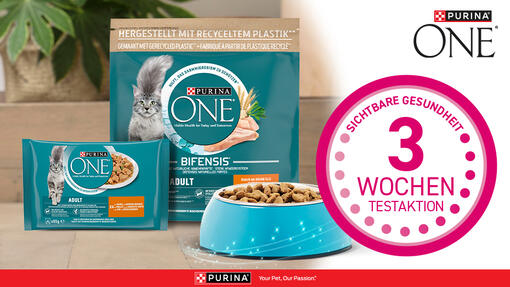 Purina One