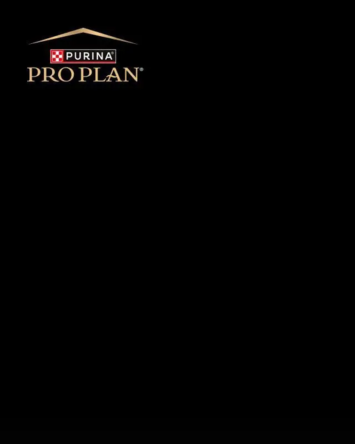 Pro Plan smash