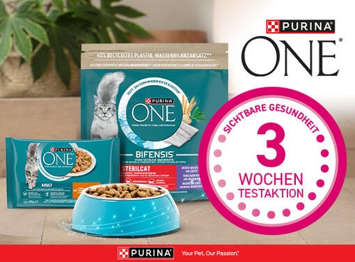 21 Purina One