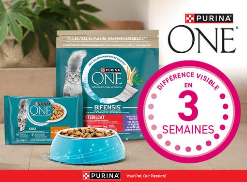 21 JOURS PROGRAMME PURINA ONE