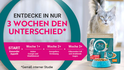 Purina One Banner