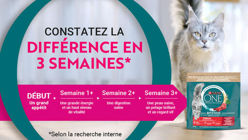 Purina One Banner