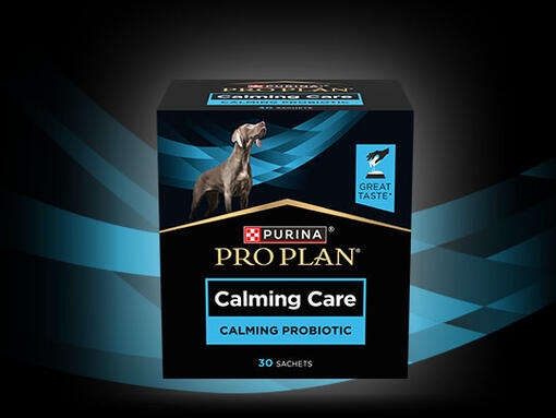 Pro plan