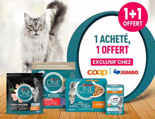 Recevez votre produit PURINA ONE® offert