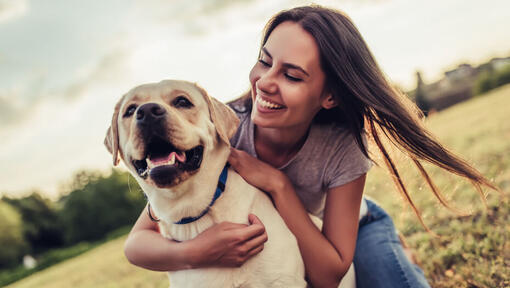 avec-quoi-nettoyer-les-oreilles-d-un-chien-2