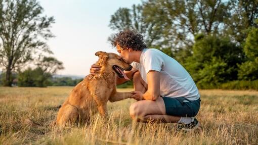 bois-de-cerf-pour-chien-2