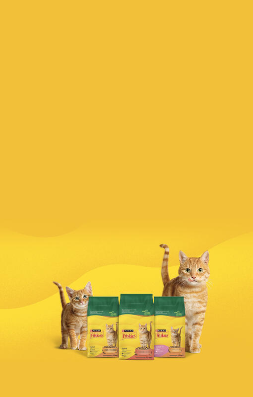 Friskies