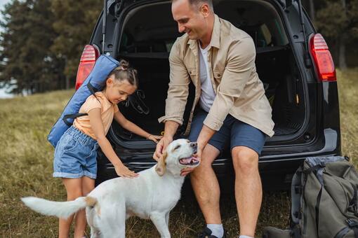 voyager-en-voiture-avec-un-chien-hero
