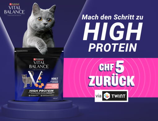 Seit 25 Jahren an Ihrer Seite