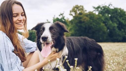 Comment favoriser la santé de votre chien avec les compléments alimentaires appropriés