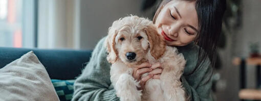 Person mit einem neu adoptierten Welpen
