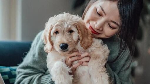 Person mit einem neu adoptierten Welpen