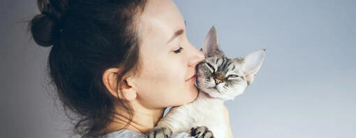 Person hält eine Katze im Arm