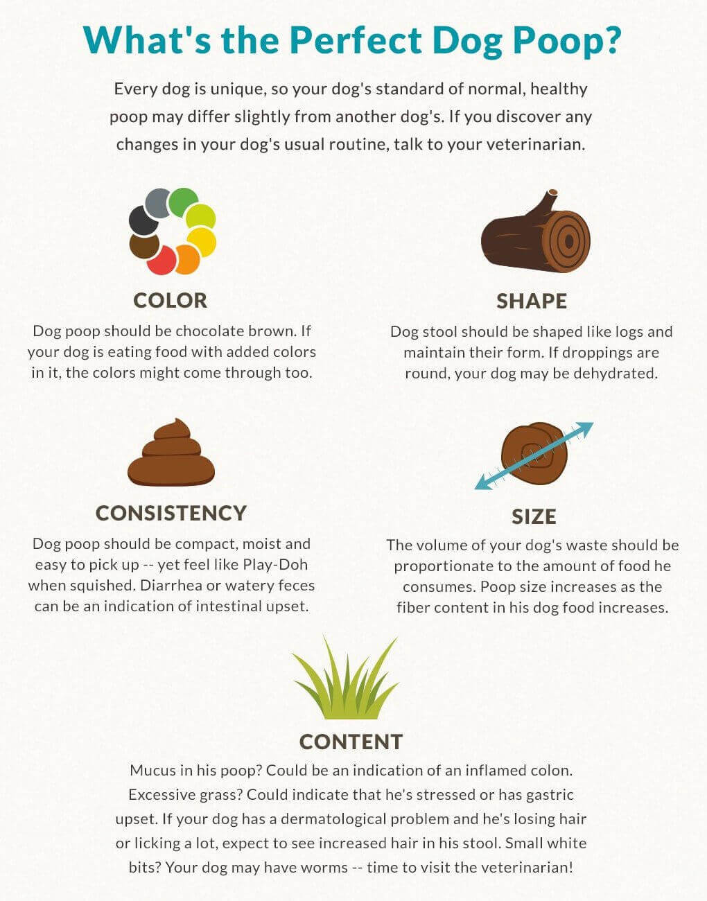 All about dog poop 1 Infographie excréments canins normaux