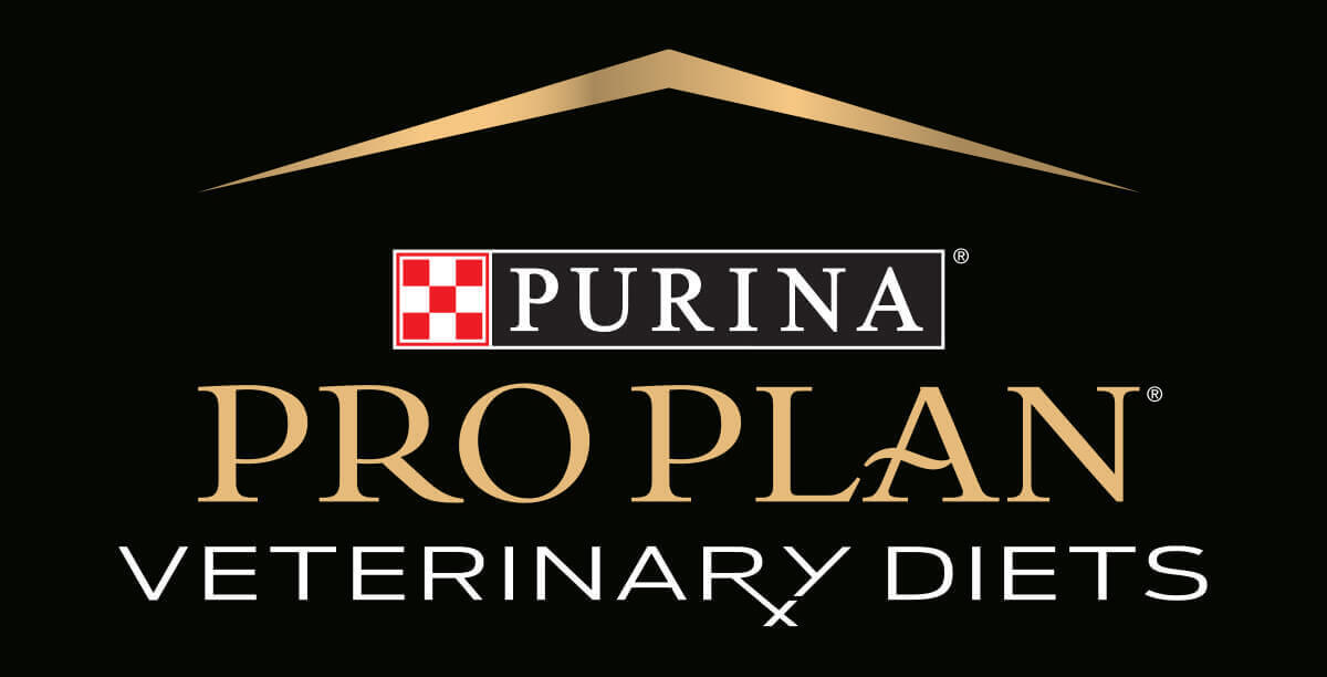 PPVD master logo PPVD master logo