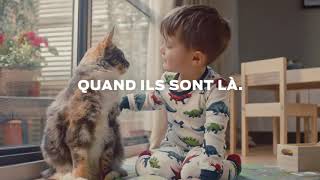 Purina | Nos engagements